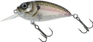 Molix Sculpo MR Rattlin Floating 5.5cm - 